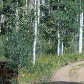 Review photo of Mirror Lake Dispersed and TH by Greg L., August 3, 2024