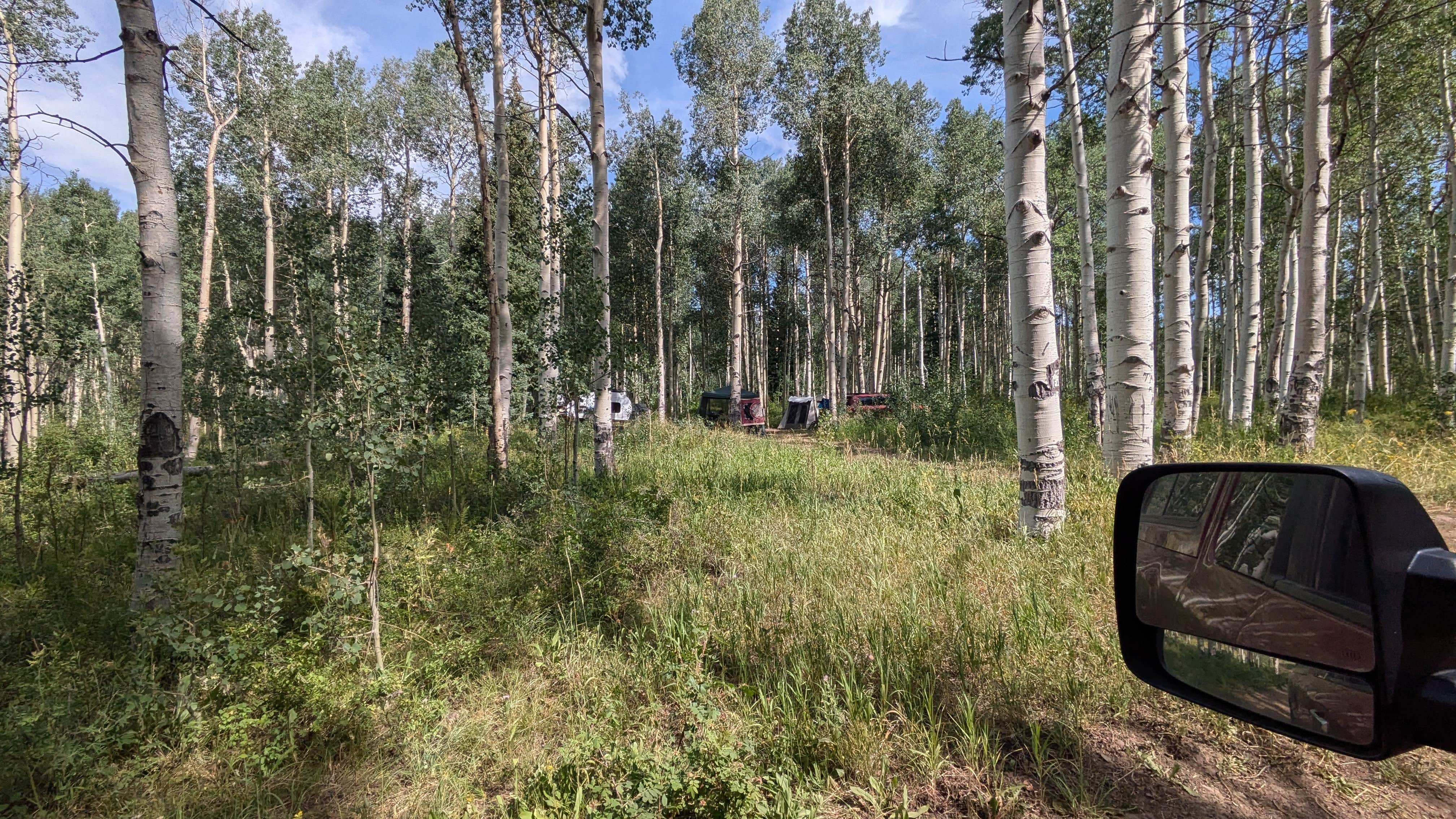 Camping near Himes Peak Campground: Mirror Lake Dispersed and TH, Yampa, Colorado