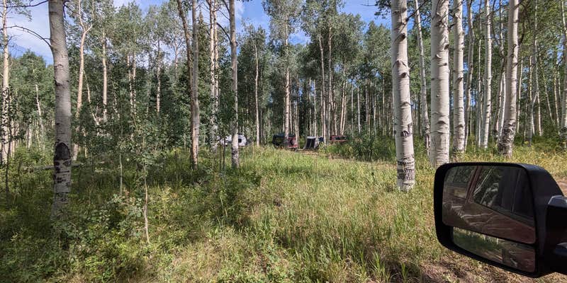 Camper submitted image from Mirror Lake Dispersed and TH