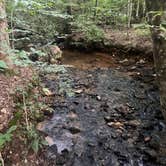 Review photo of Misfit Mountain by Stephanie S., August 17, 2025