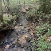 Review photo of Misfit Mountain by Stephanie S., August 17, 2025