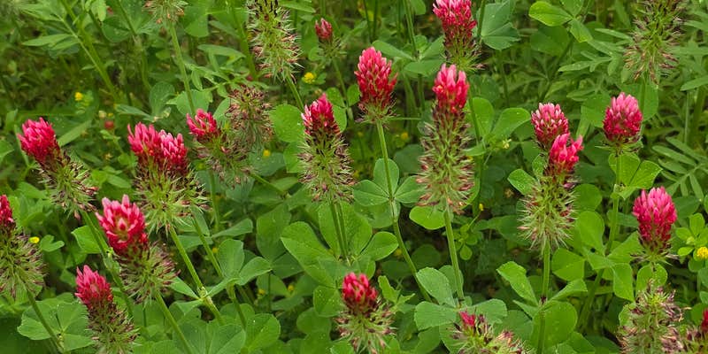 Camper submitted image from Mission Dolores RV Park & Campground