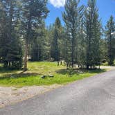 Review photo of Indian Creek Campground — Yellowstone National Park by Stefanie I., July 5, 2024