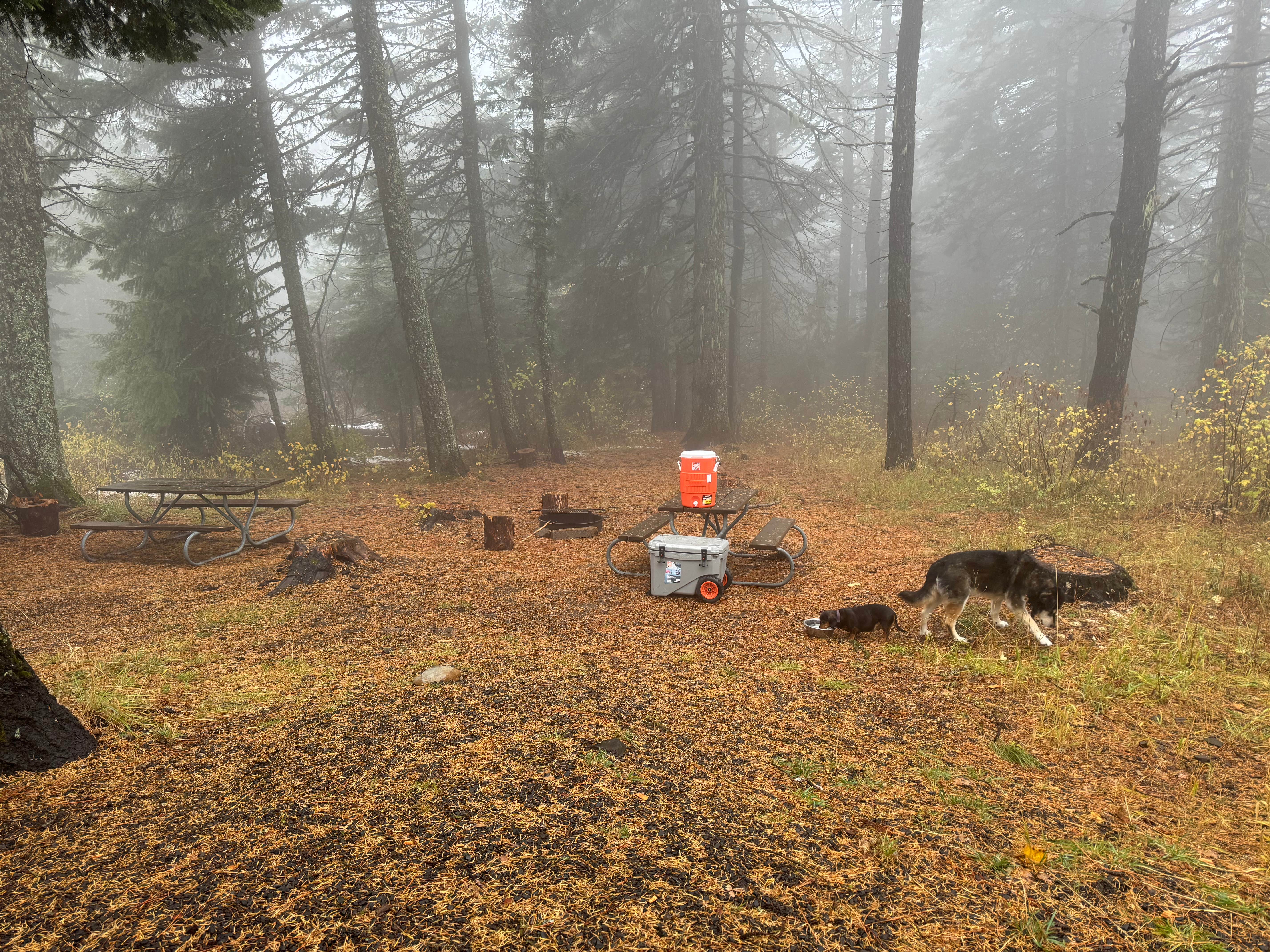 Camper-submitted photo at Mission Mountain Campground — Mary Minerva McCroskey State Park near Steptoe, WA