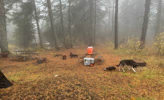 Cable A.'s photo of camping with pets at Mission Mountain Campground — Mary Minerva McCroskey State Park near Pullman, WA