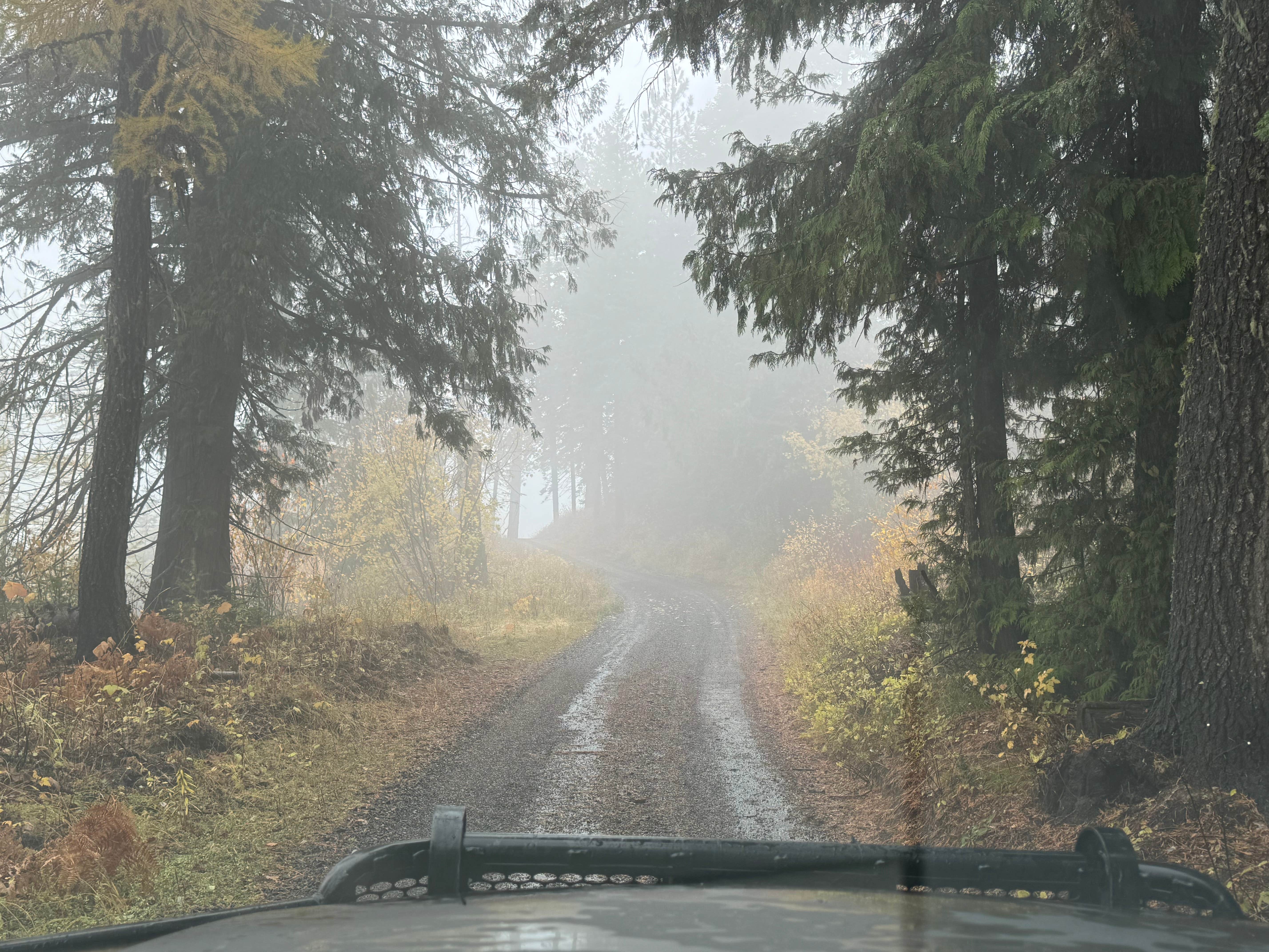 Camper-submitted photo at Mission Mountain Campground — Mary Minerva McCroskey State Park near Steptoe, WA