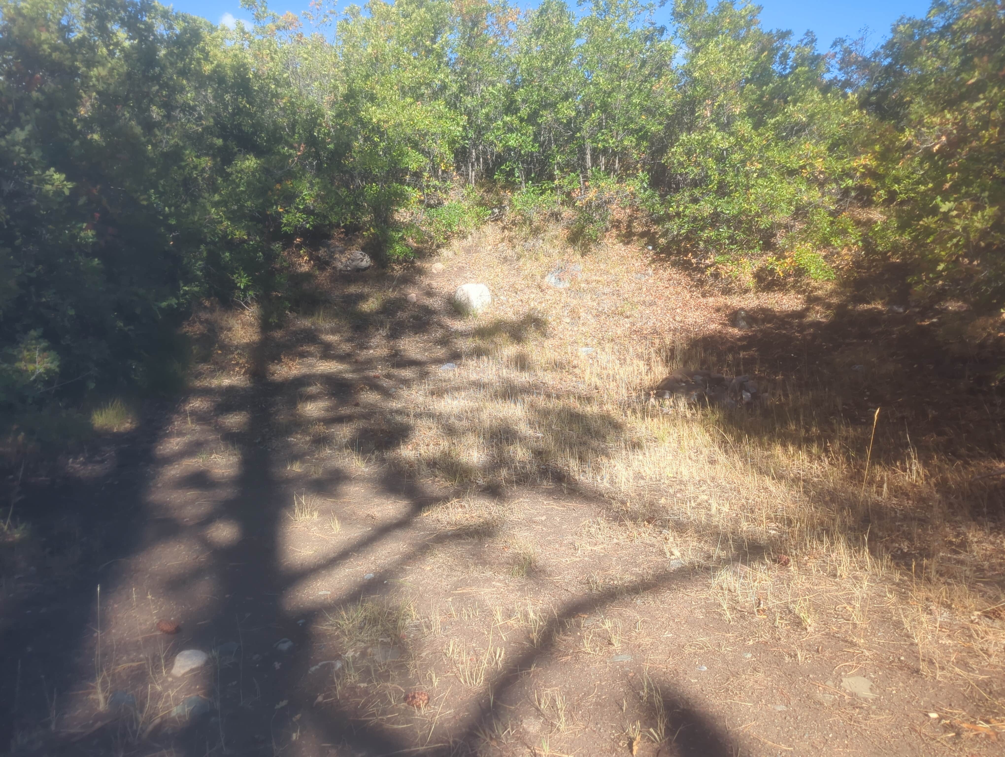 Camper submitted image from Missionary Ridge Road - 2