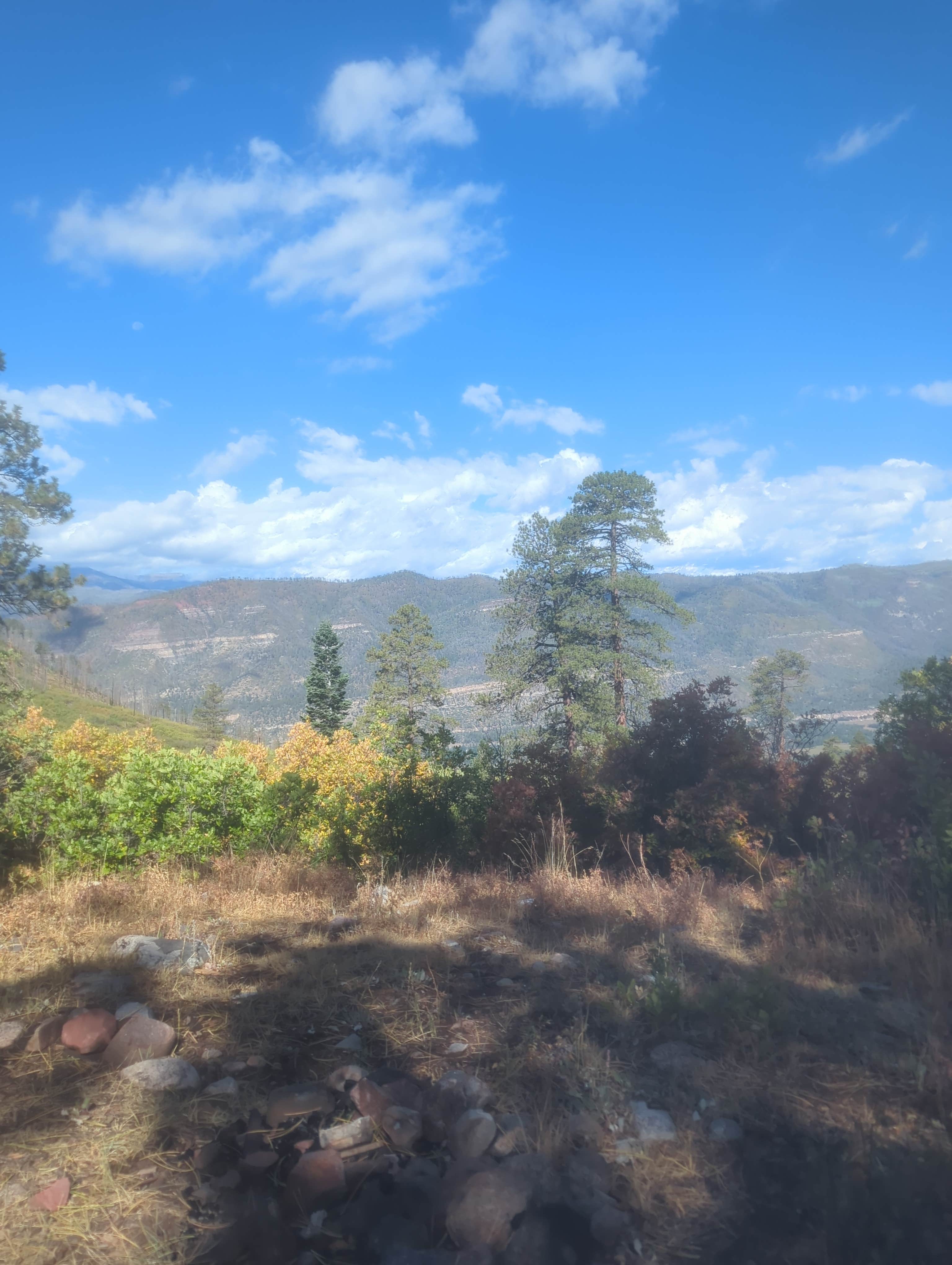 Jason R.'s photo of a dispersed camping area at Missionary Ridge Road near Aztec, NM