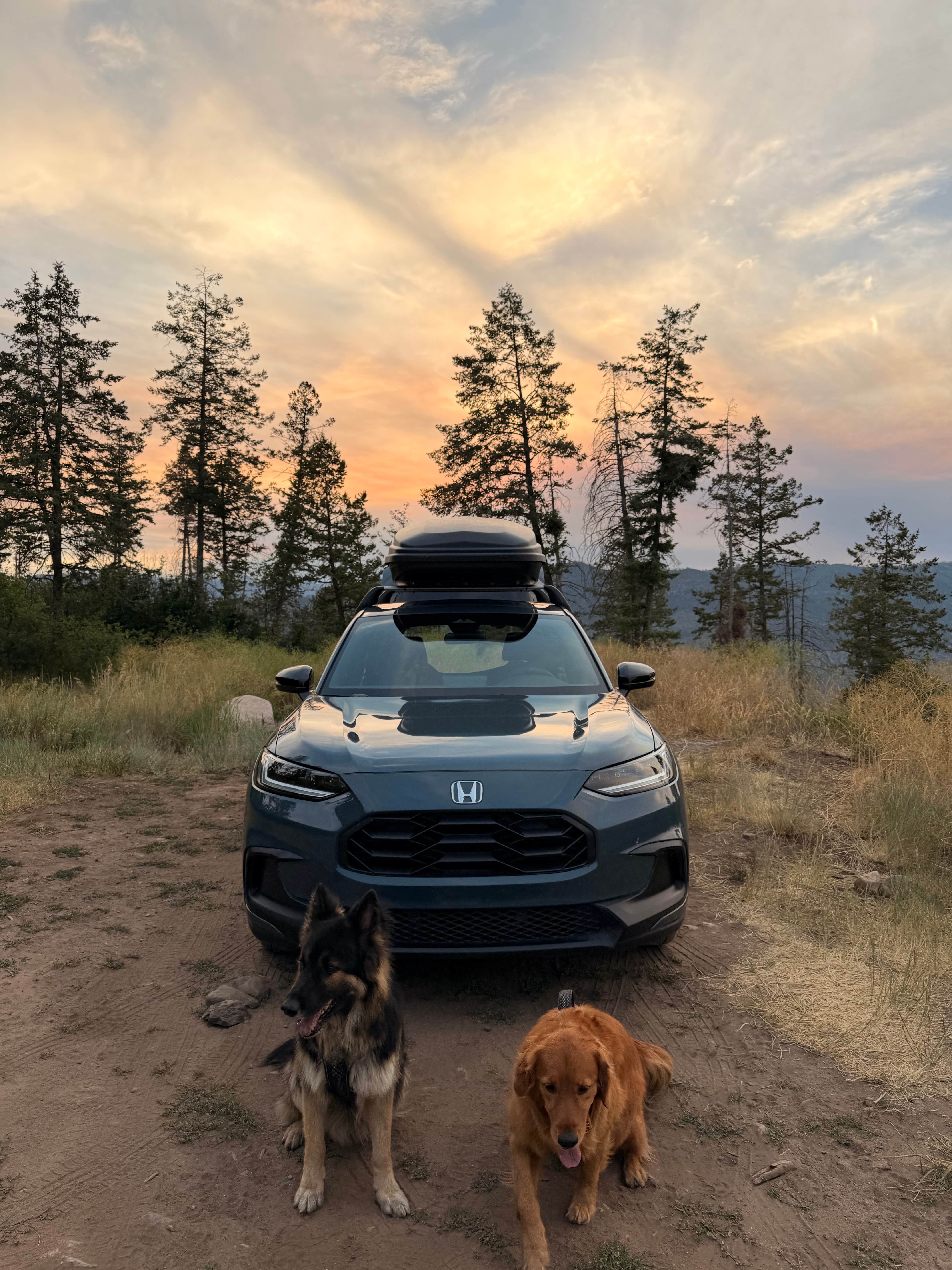 Camper-submitted photo at Missionary Ridge Road near Bayfield, CO
