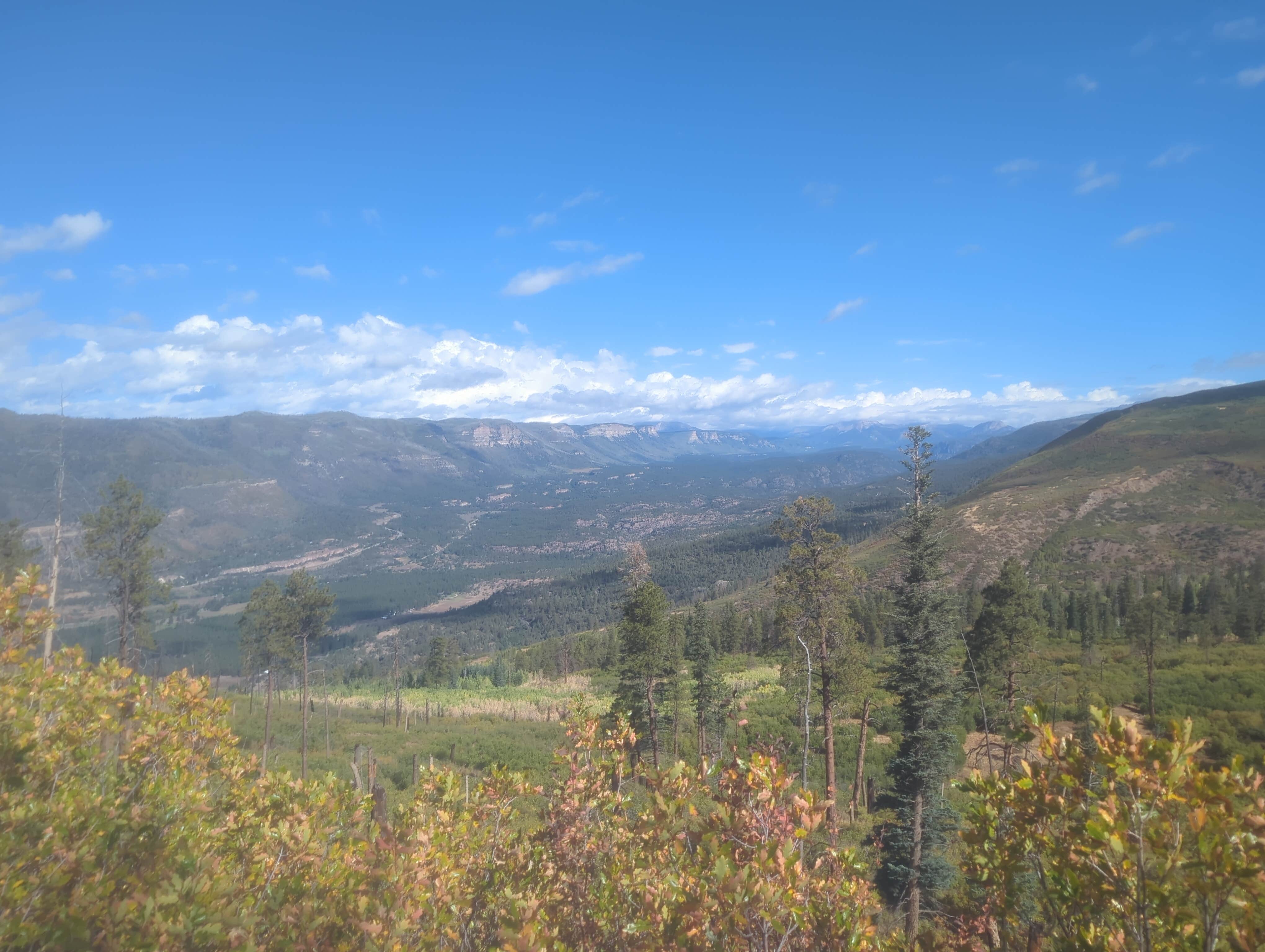Camper-submitted photo at Missionary Ridge Road near San Juan National Forest