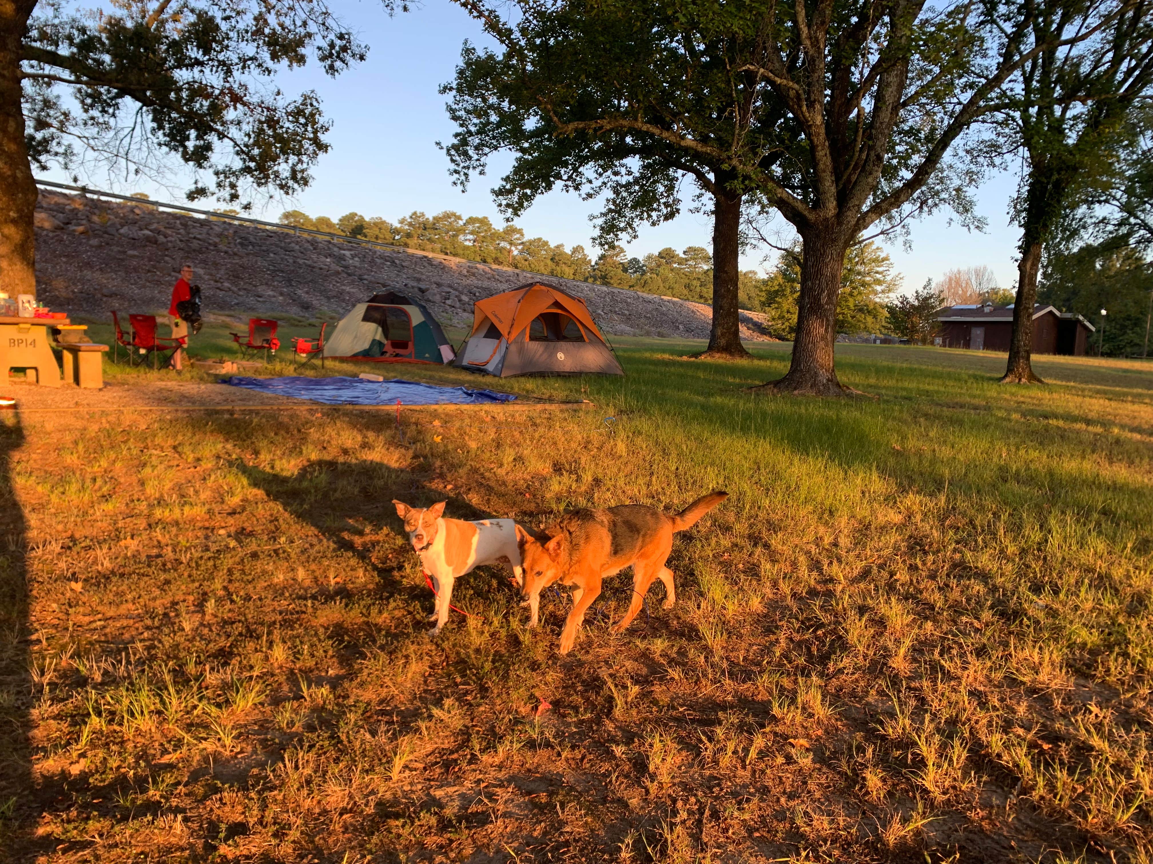Camper-submitted photo at Beach Point - Sardis Lake near Sardis, MS