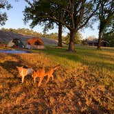 Review photo of Beach Point - Sardis Lake by Elizabeth S., September 11, 2023