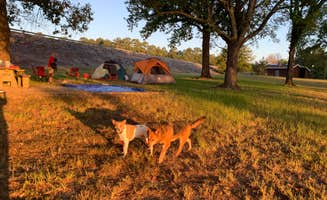 Elizabeth S.'s photo of camping with pets at Beach Point - Sardis Lake near Coldwater, MS