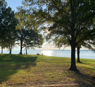 Camper-submitted photo from Beach Point - Sardis Lake