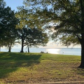 Review photo of Beach Point - Sardis Lake by Elizabeth S., September 11, 2023