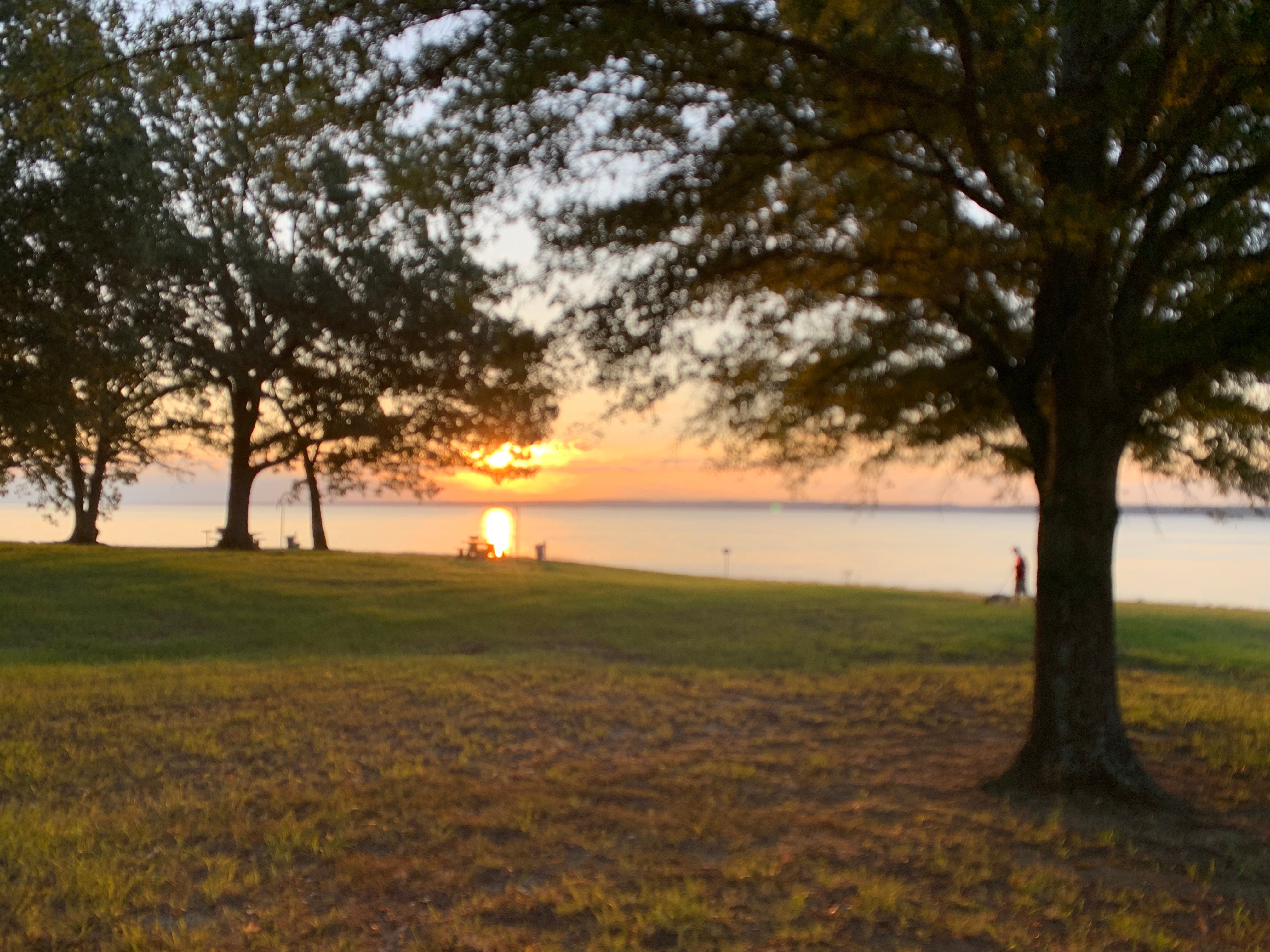 Camper submitted image from Beach Point - Sardis Lake - 3