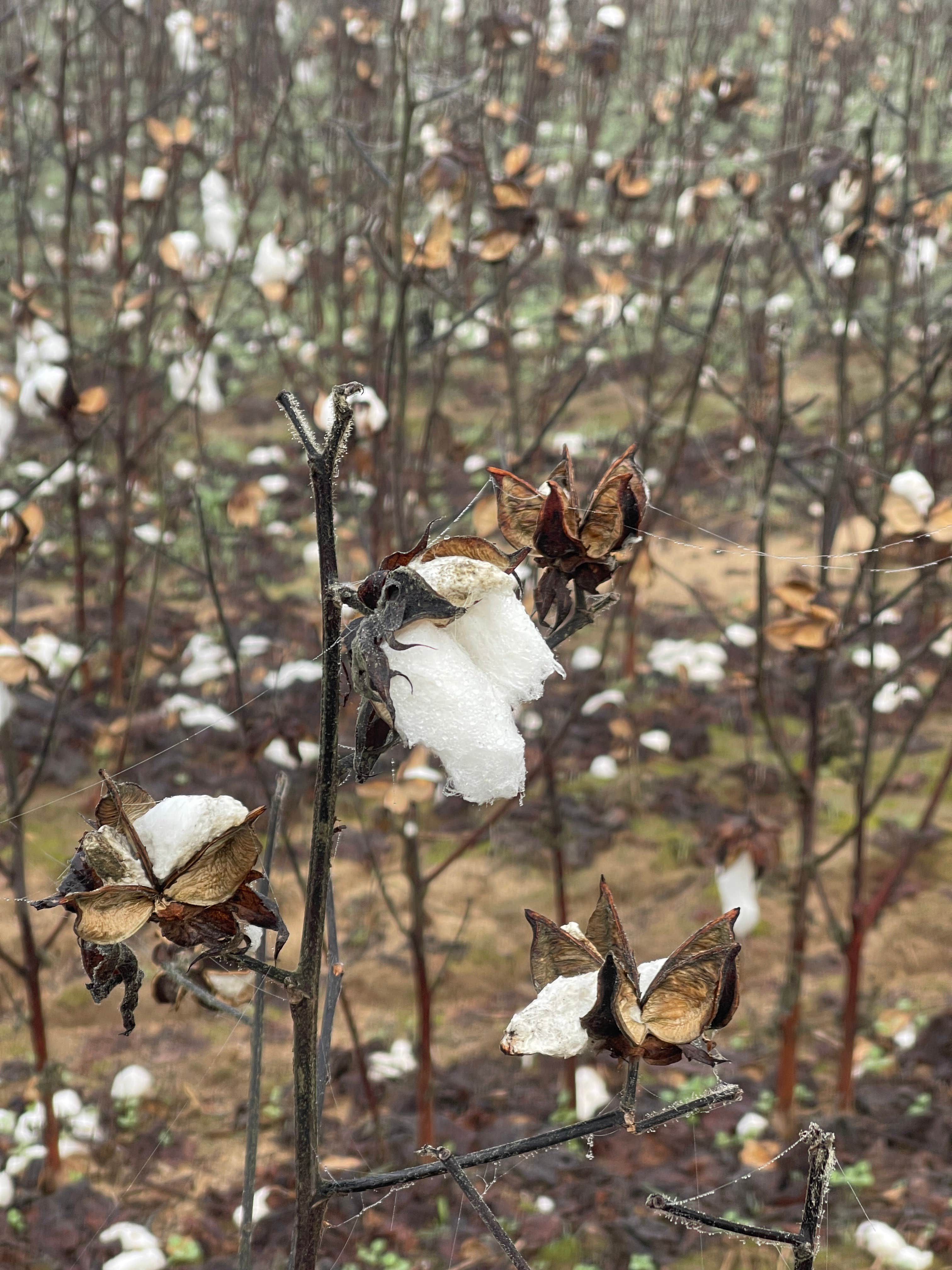 Camper-submitted photo at Big Creek Water Park near Raleigh, MS
