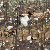 Review photo of Big Creek Water Park by Adam B., November 26, 2025