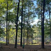 Review photo of Clarkco State Park Campground by David P., June 24, 2024