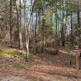 Review photo of Clarkco State Park Campground by Bill T., January 9, 2026