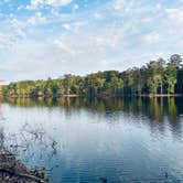 Review photo of Clarkco State Park Campground by Bill T., January 9, 2026