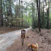 Review photo of Clarkco State Park Campground by Bill T., January 9, 2026