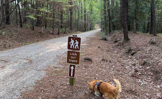 Bill T.'s photo of camping with pets at Clarkco State Park Campground near Enterprise, MS