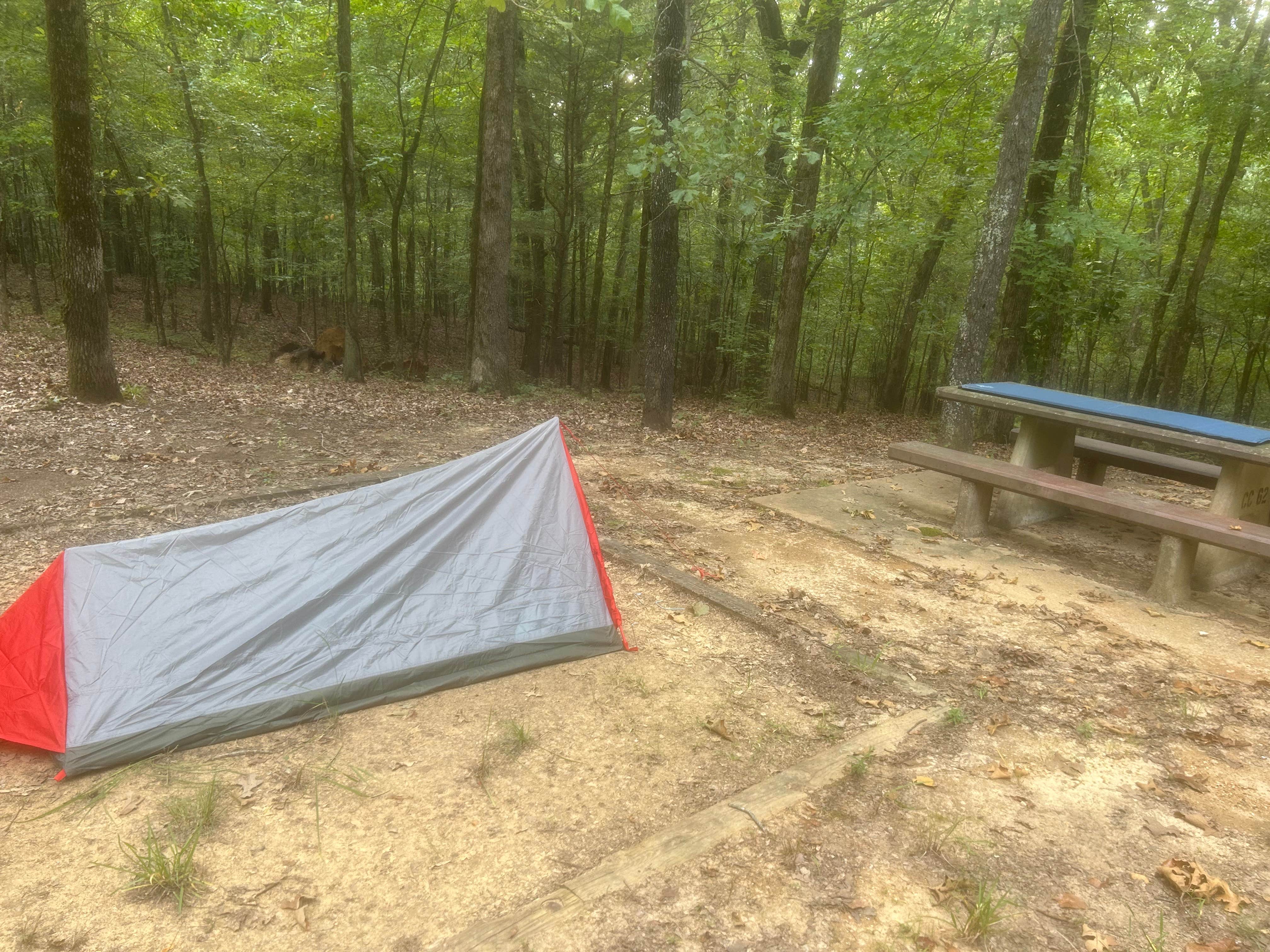 Joe K.'s photo at Clear Creek (MS) near Sardis, MS