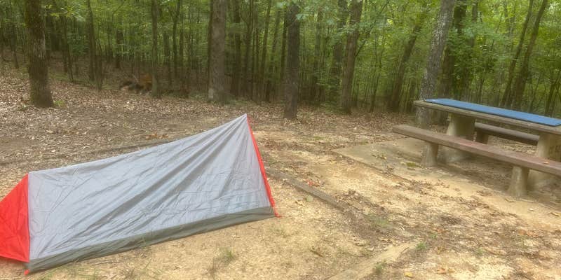 Camper submitted image from Clear Creek - Sardis Lake