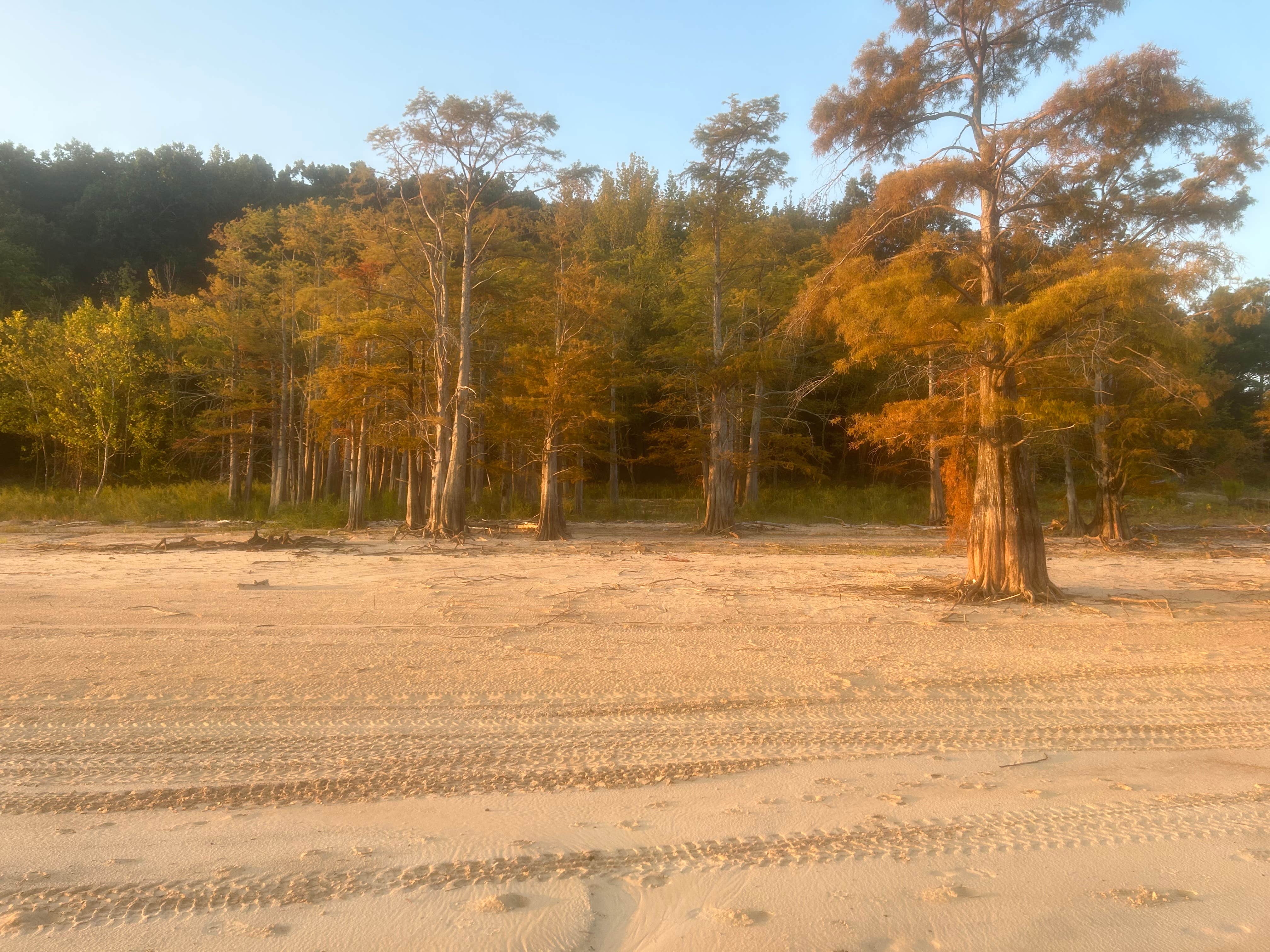 Camper-submitted photo at Clear Creek - Sardis Lake near Oxford, MS