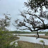Review photo of Davis Bayou Campground — Gulf Islands National Seashore by DOUG C., March 17, 2026