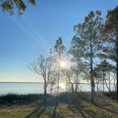 Review photo of Davis Bayou Campground — Gulf Islands National Seashore by Lexi W., February 8, 2024