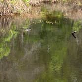 Review photo of Davis Bayou Campground — Gulf Islands National Seashore by DOUG C., March 17, 2026