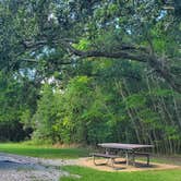 Review photo of Davis Bayou Campground — Gulf Islands National Seashore by John R., September 16, 2024