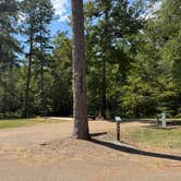 Review photo of Davis Lake Campground by Amanda F., August 30, 2026