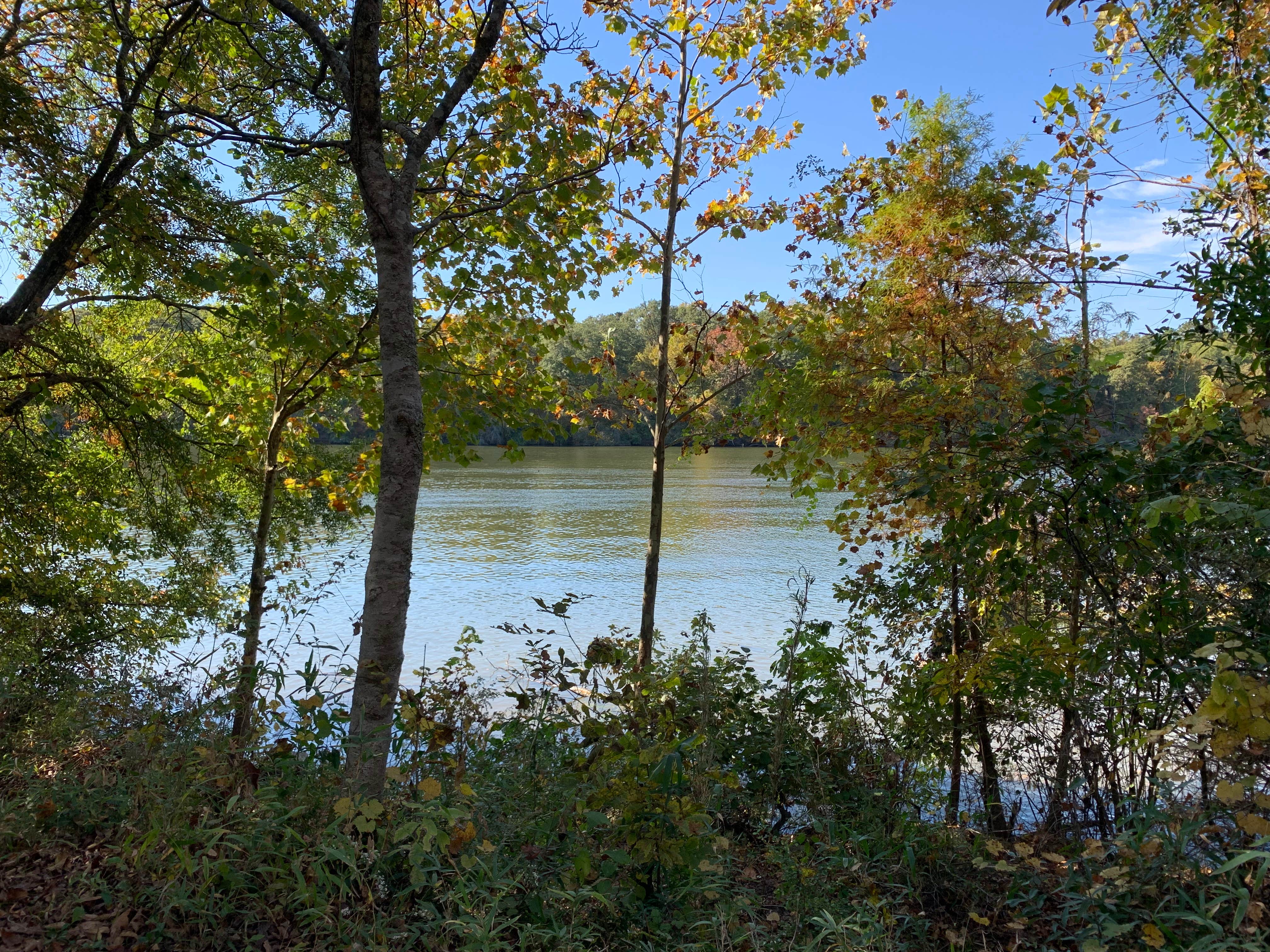 Camper-submitted photo at Dewayne Hayes Campground near Columbus, MS