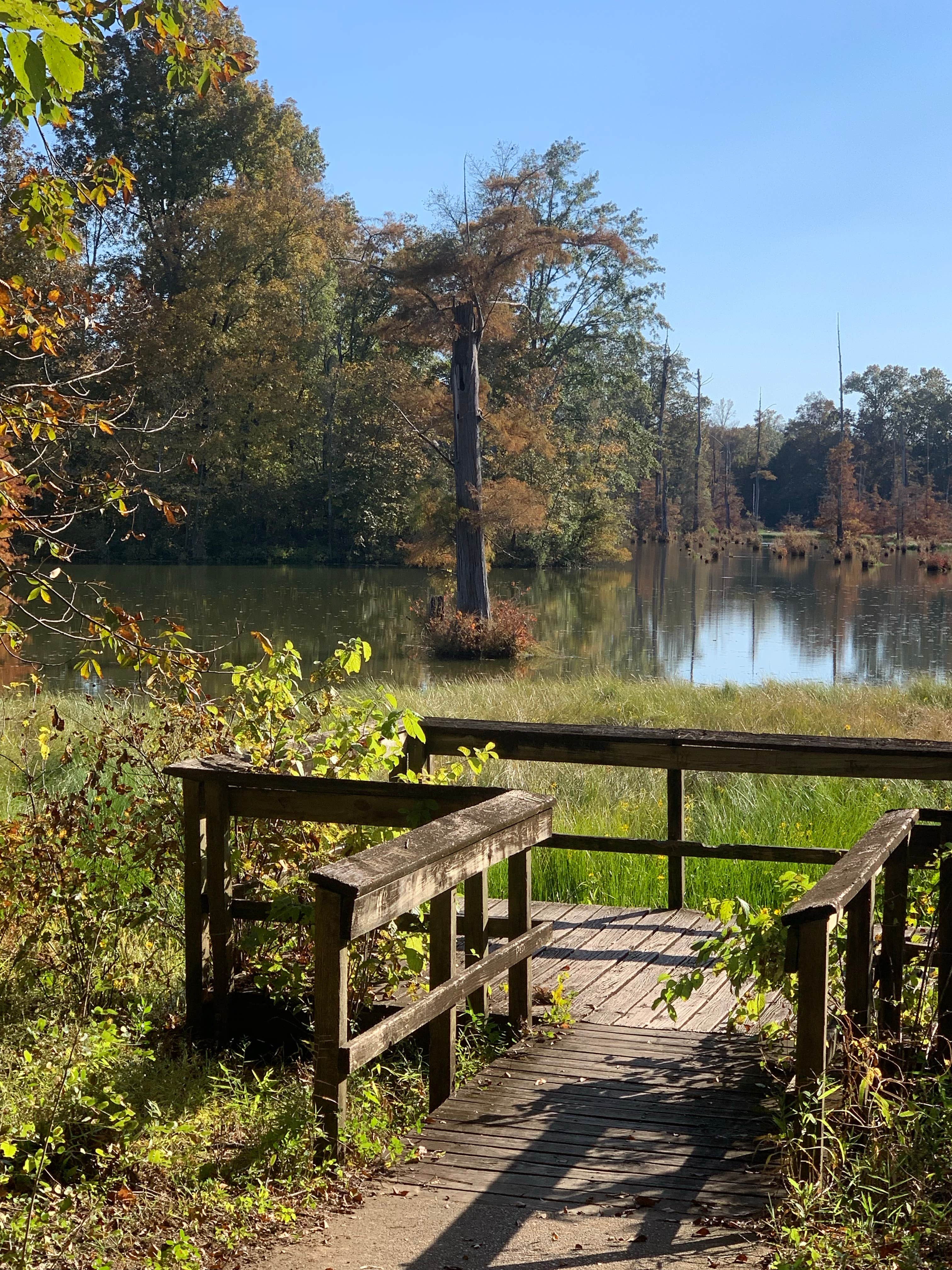 Camper-submitted photo at Dewayne Hayes Campground near Columbus, MS