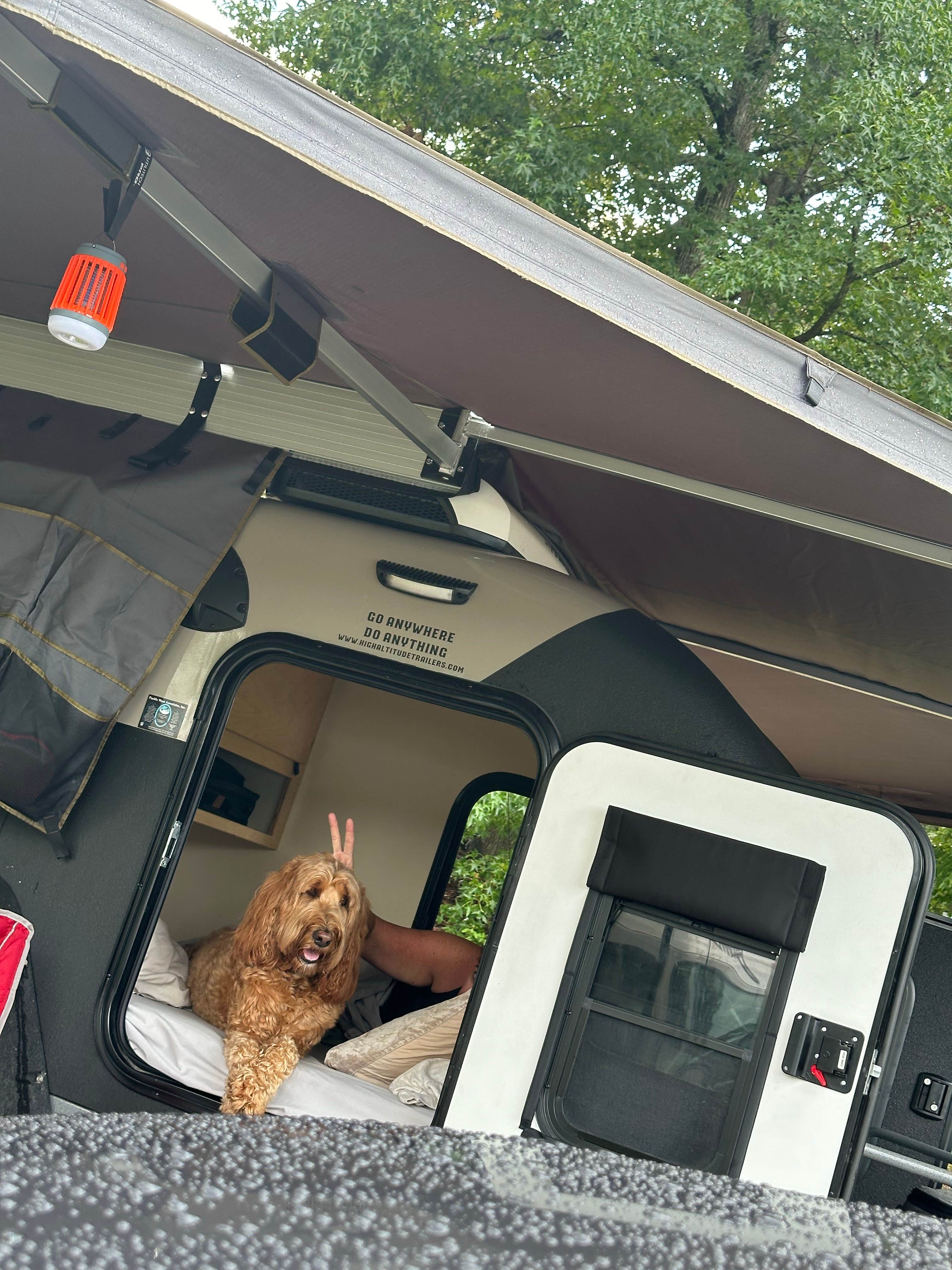 Sable A.'s photo of camping with pets at J.P. Coleman State Park Campground near Dennis, MS