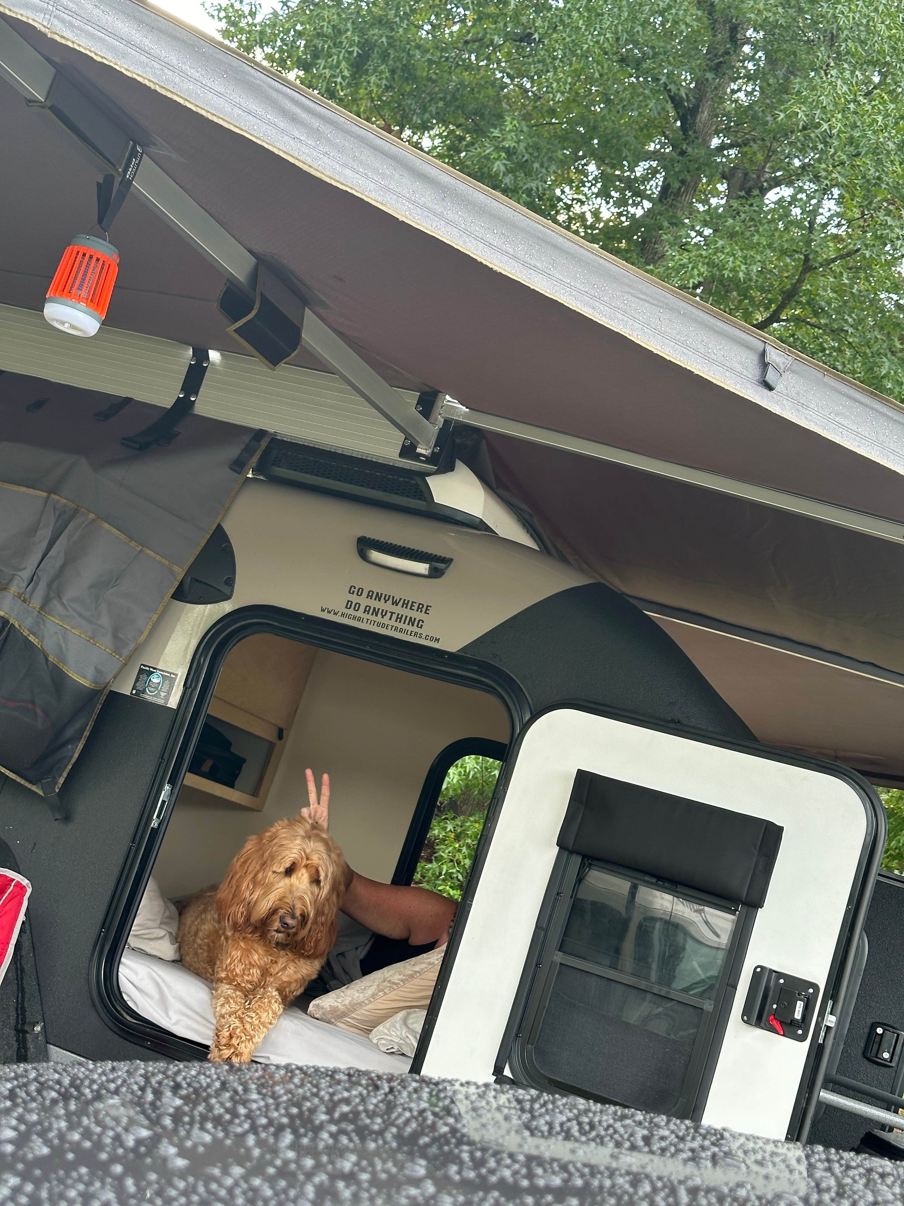 James R.'s photo of camping with pets at J.P. Coleman State Park Campground near Cherokee, AL