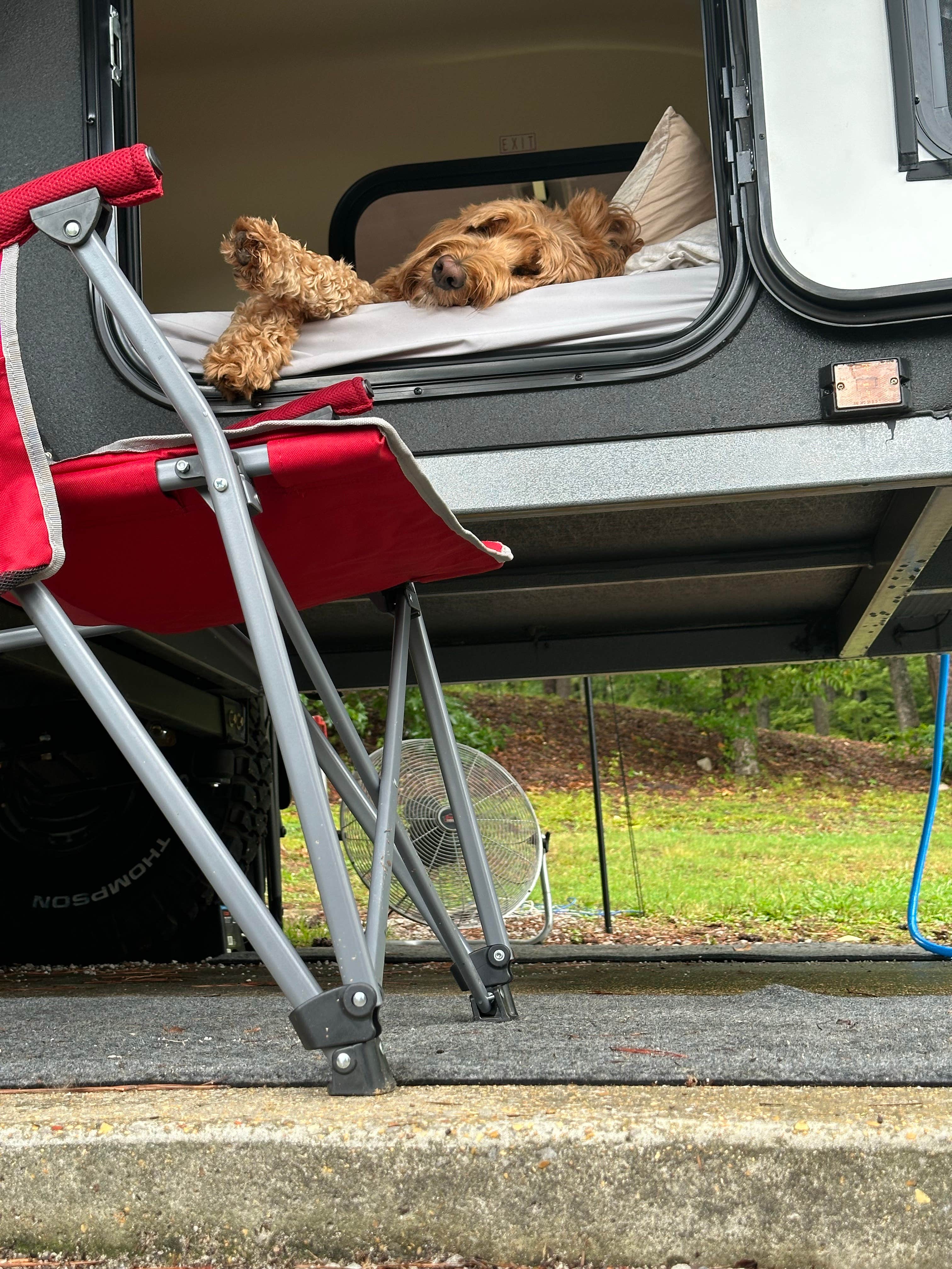 Sable A.'s photo of camping with pets at J.P. Coleman State Park Campground near Cherokee, AL