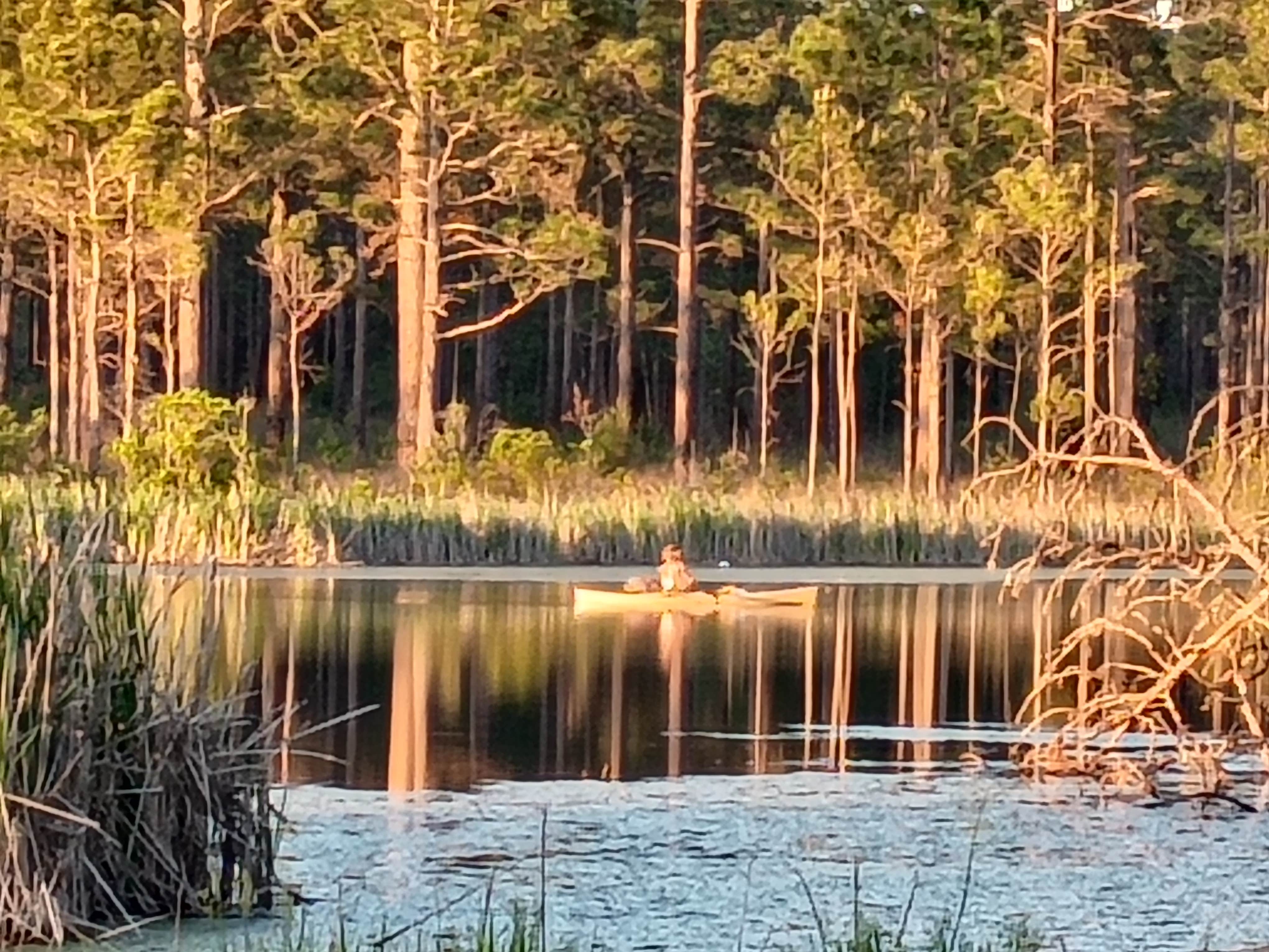 Camper-submitted photo at Lake Columbia near Purvis, MS