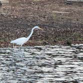 Review photo of Lake Lincoln State Park Campground by Tiffany M., January 2, 2025