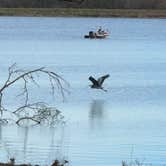 Review photo of Lake Lincoln State Park Campground by Tiffany M., January 2, 2025