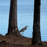 Review photo of Lake Lincoln State Park Campground by Tiffany M., January 2, 2025