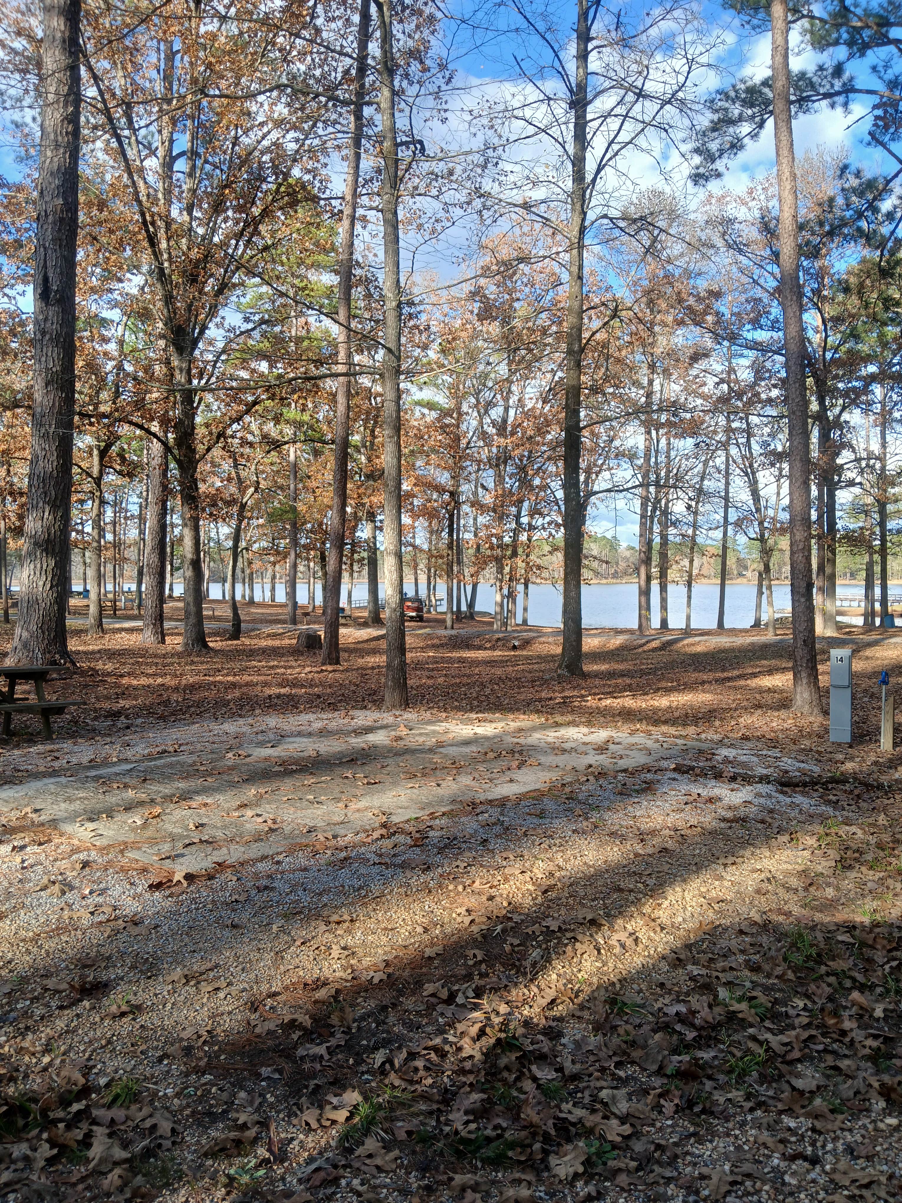 Camper submitted image from Lake Mary Crawford - 3