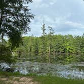 Review photo of LeFleur's Bluff State Park Campground by Laura H., June 8, 2026