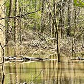 Review photo of LeFleur's Bluff State Park Campground by Taylor C., April 18, 2024