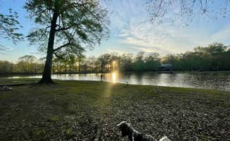 Taylor C.'s photo of camping with pets at LeFleur's Bluff State Park Campground in Mississippi