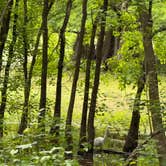Review photo of LeFleur's Bluff State Park Campground by Amanda F., June 14, 2026