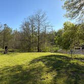 Review photo of Leroy Percy State Park Campground by christy W., March 28, 2026